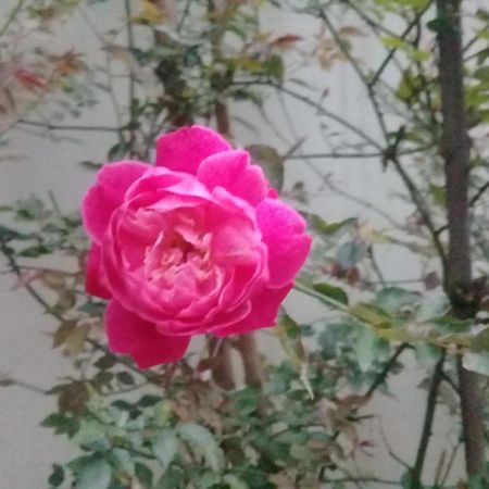 فيلا Chale Da Lu باراتي المظهر الخارجي الصورة